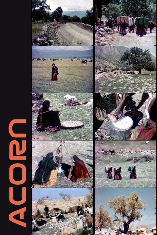 Acorn (1967) poster