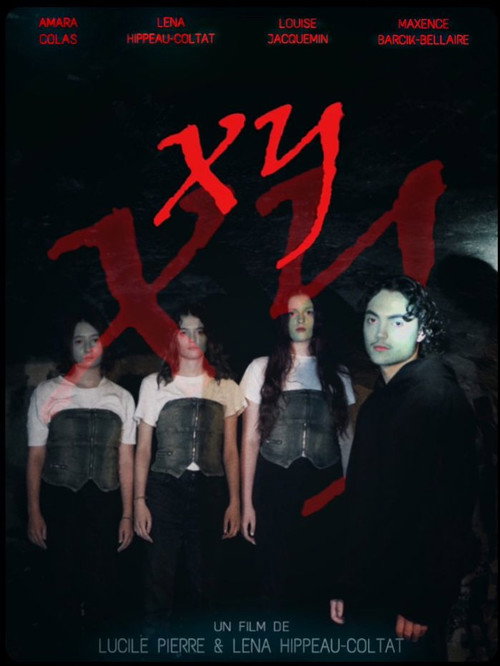 XY poster