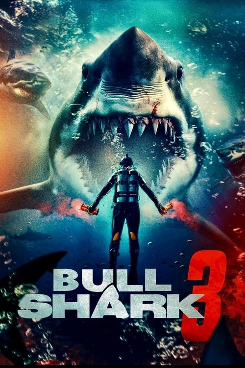 Bull Shark 3