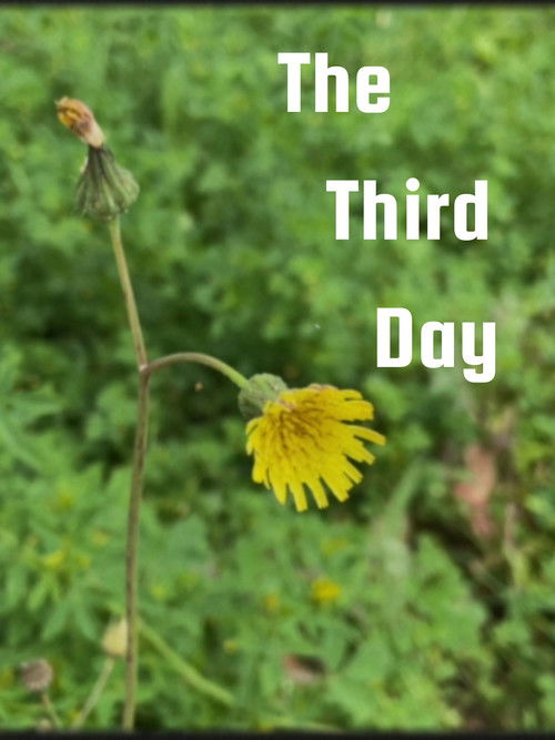 The Third Day (2024) poster