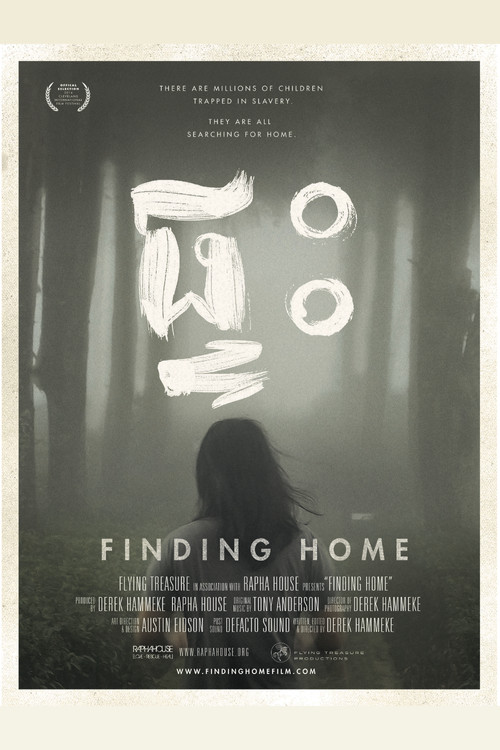 Finding Home (2014) poster