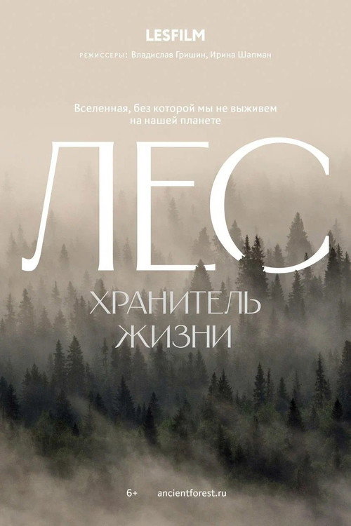 The Forest (2026) poster