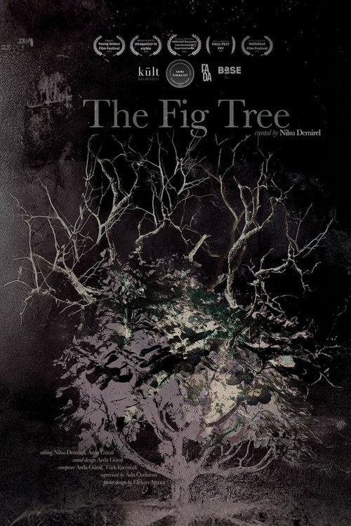 The Fig Tree (2025) poster