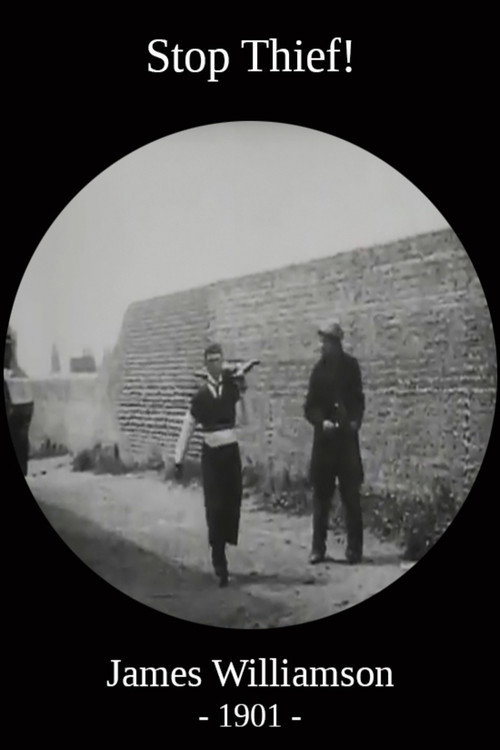 Stop Thief! (1901) poster