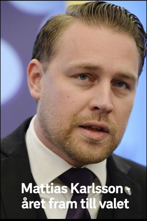 Mattias Karlsson: Året fram till valet