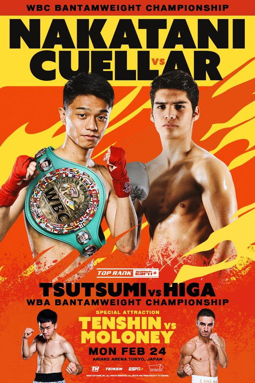 PRIME VIDEO BOXING 11
