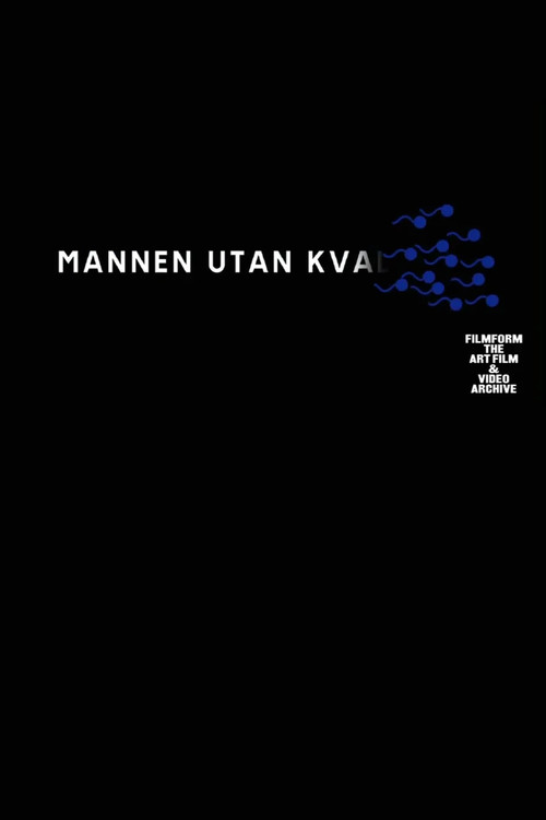 The Man Without Qualities (2003) poster