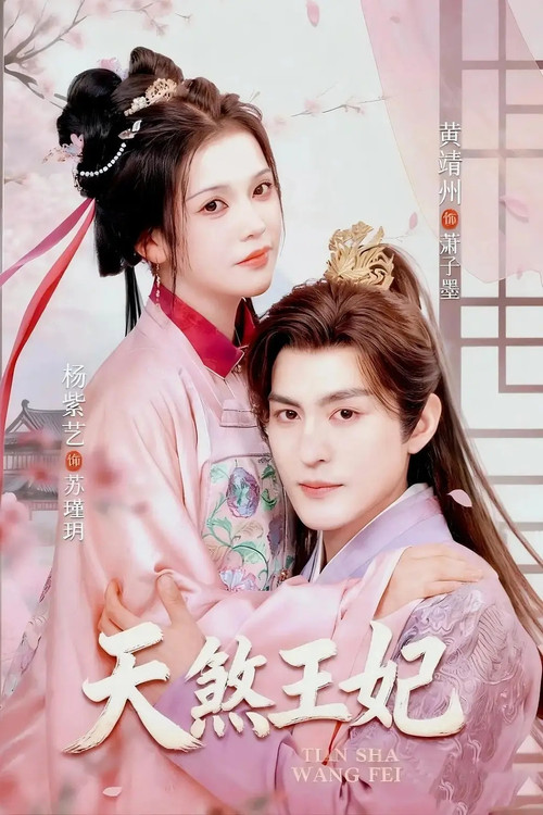 天煞王妃