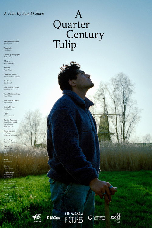 A Quarter Century Tulip
