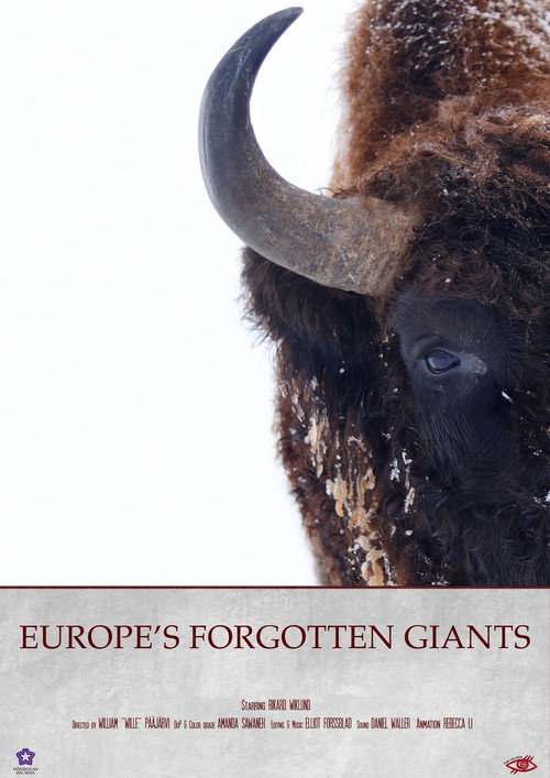 Europe's Forgotten Giants