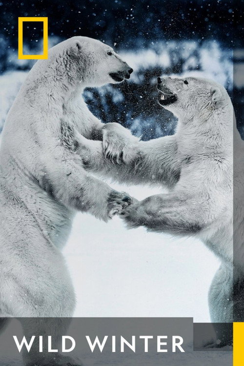 Wild Winter (2024) poster