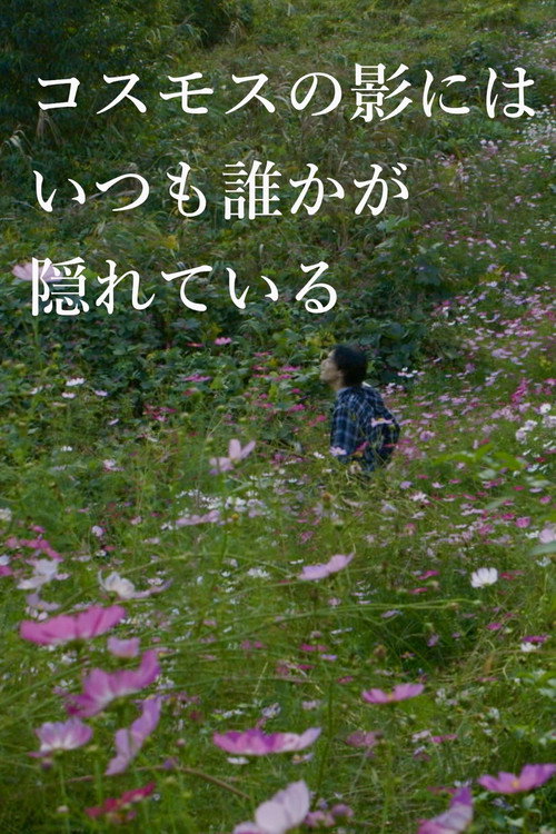 In the Shadow of the Cosmos Flowers