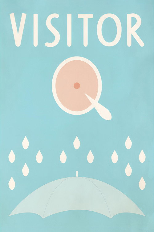 Visitor Q (2001) poster