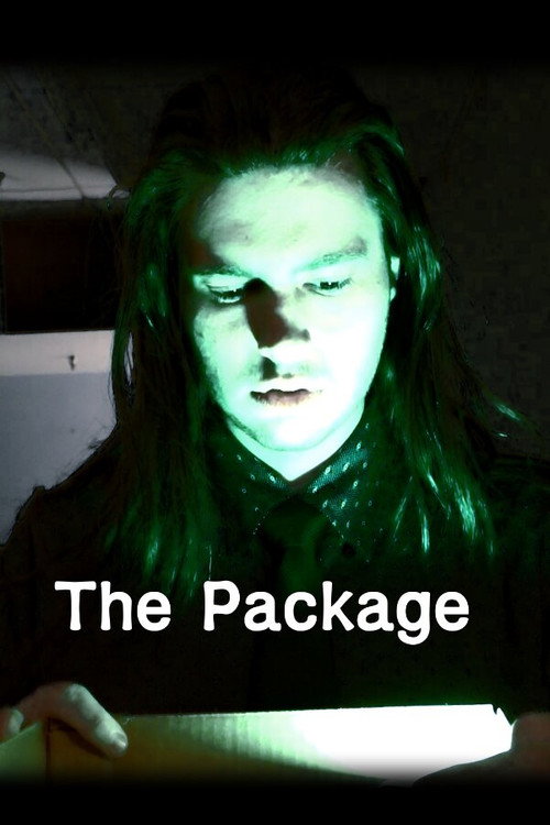 The Package (2026) poster