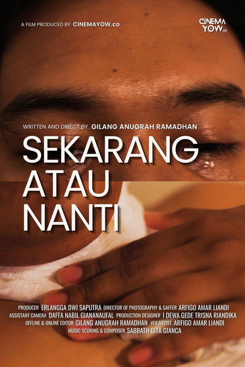 Now or Never poster