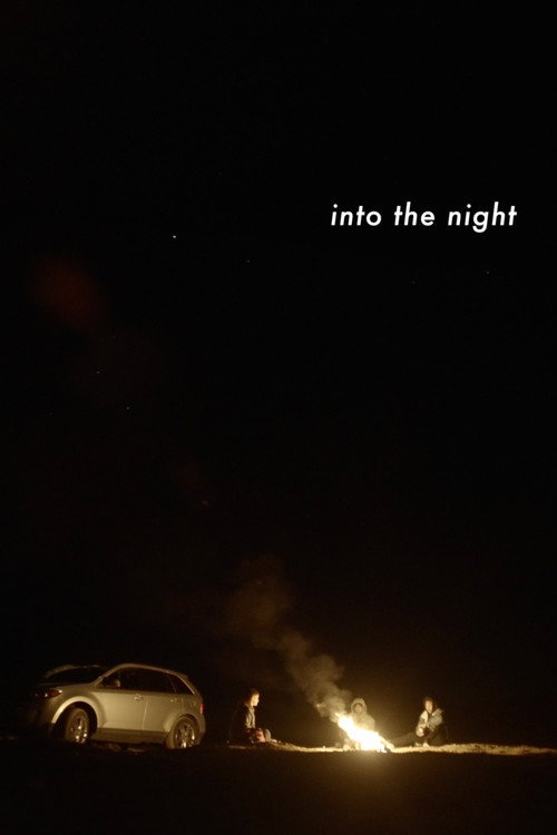 Into the Night (2025) poster