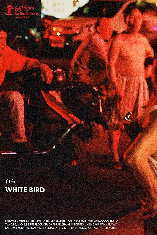 White Bird (2016) poster