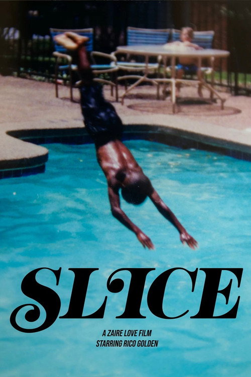 Slice (2024) poster