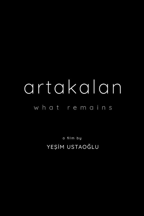 What Remains (2026) poster