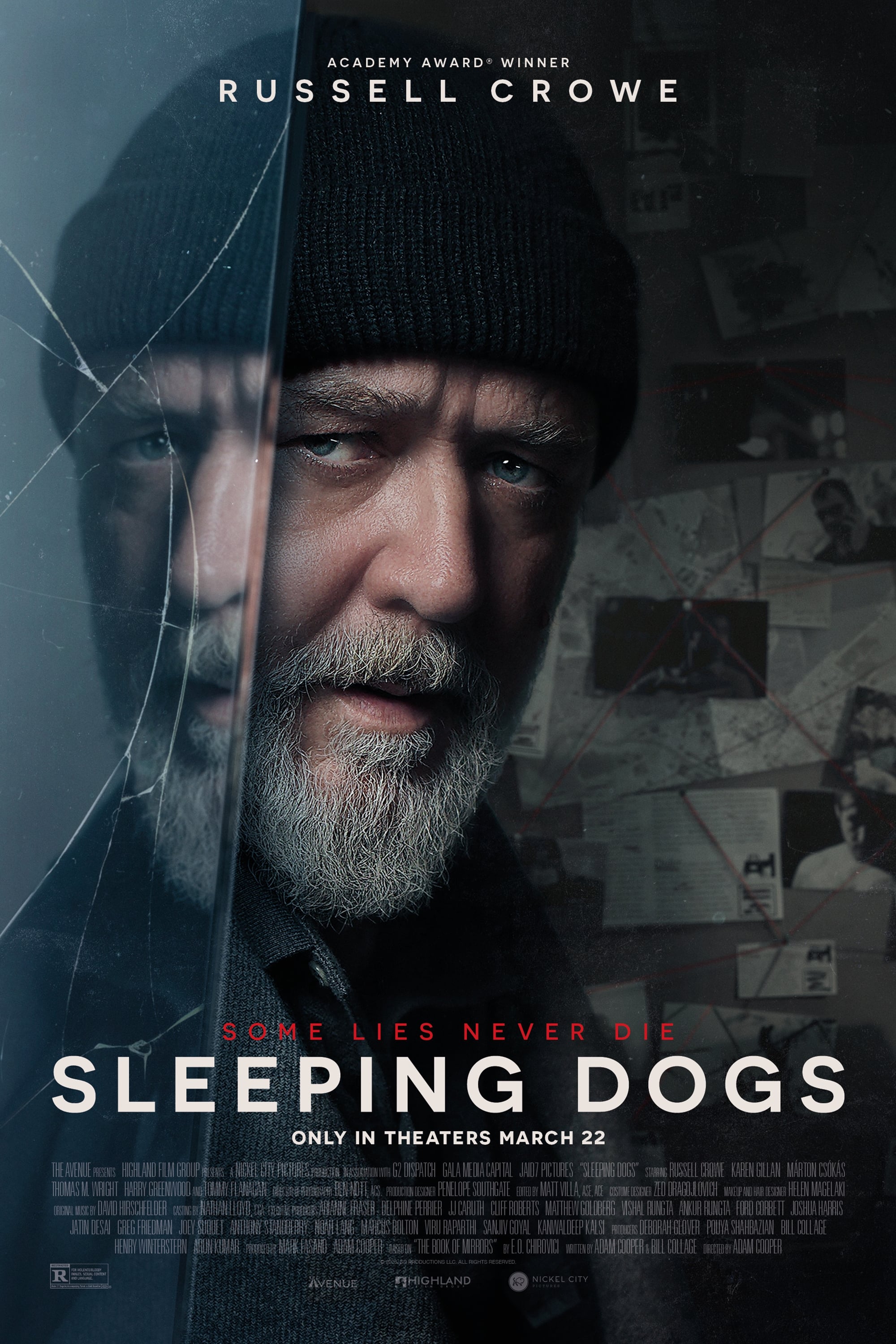 Poster for the movie "Sleeping Dogs"