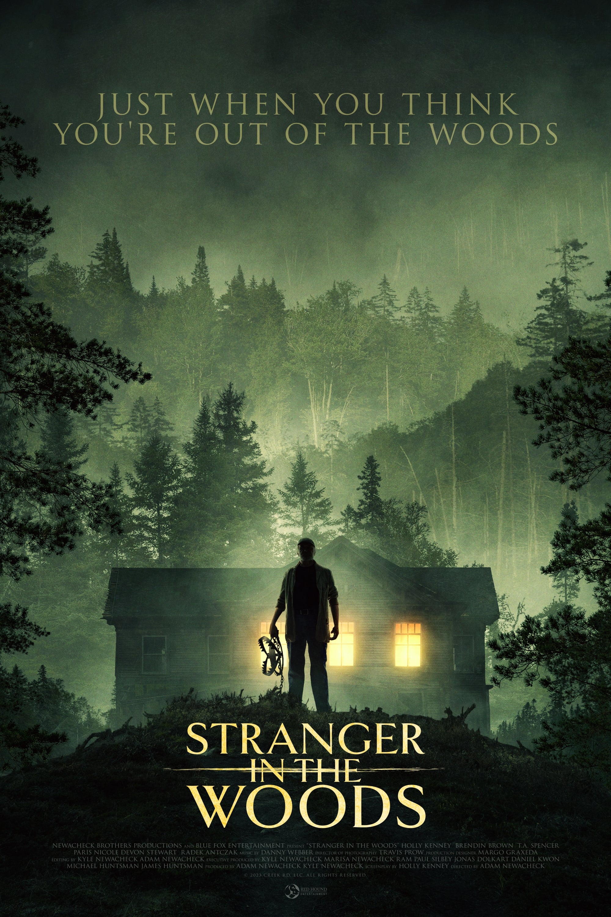 Poster for the movie "Stranger in the Woods"
