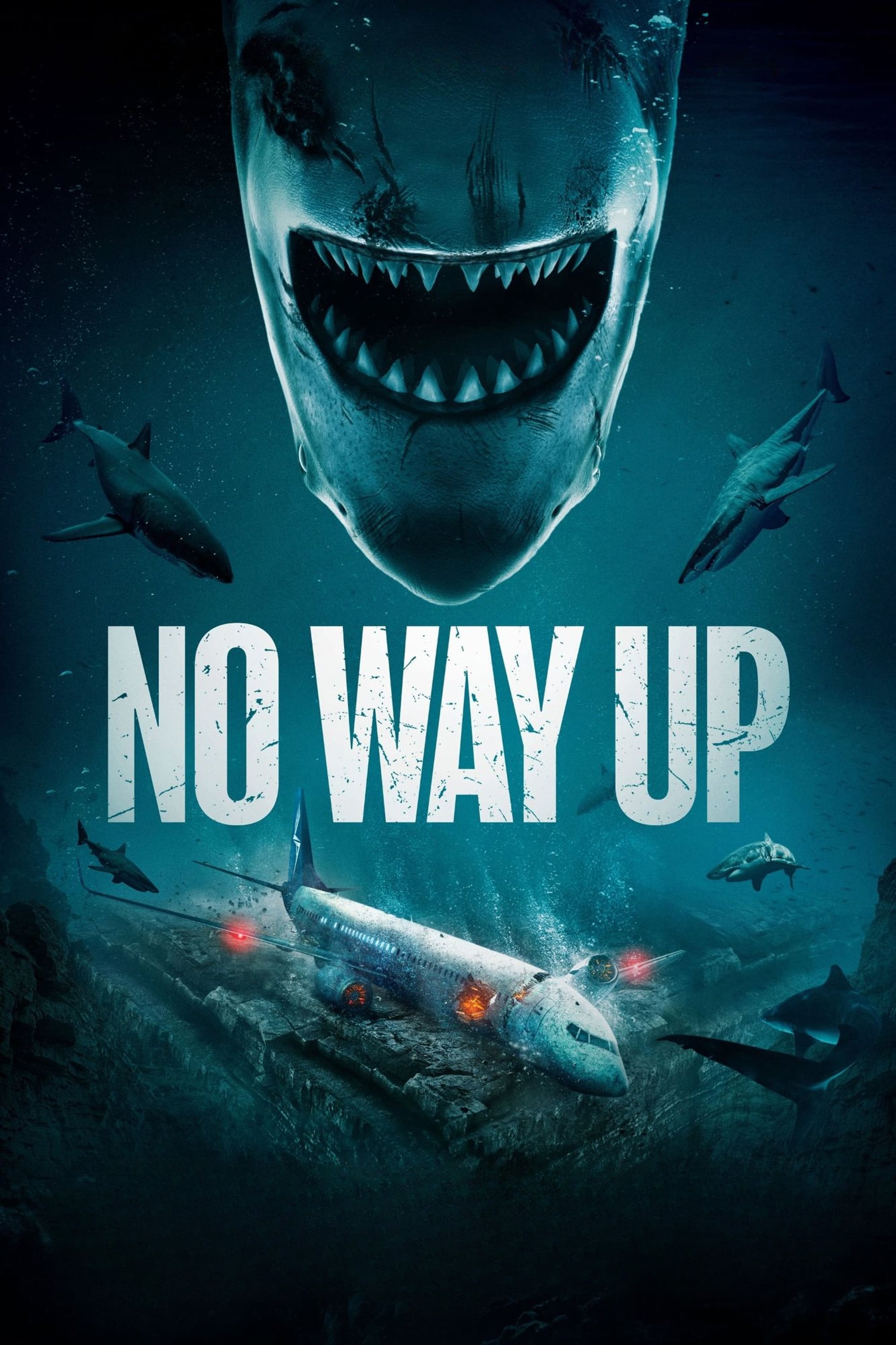 Poster for the movie "No Way Up"